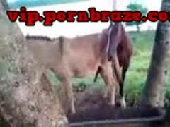 5880ba67cbb0f_(new)