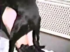 Black Big Hot Dog Fucking Hardcore