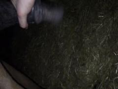 Horse Fucking Cook Show Porn Part 2