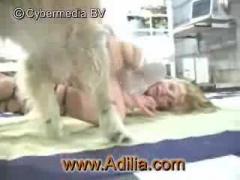 Big dog fucking hardcore blonde girl