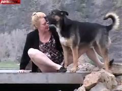 public animal