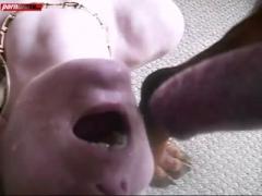 Animal Cum Woman