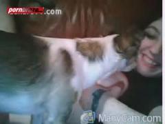 litte dog lick pussy bbe girl