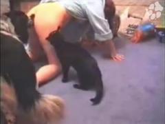 Bitch slut whore's dirty fucking her dog