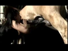 Oral sex hard with horse's dick