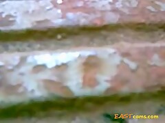 malay intip