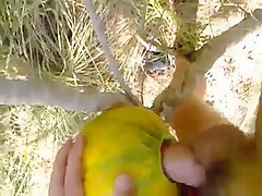 outdoor fun with melon