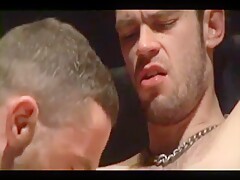 Cock Worship Clips