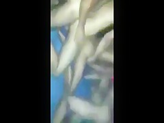 Latin bareback Orgy