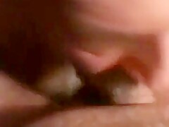 Daddy bear sucking cock