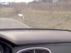 Diese heiße Deutsch Sekretärin will eine Gehaltserhöhung