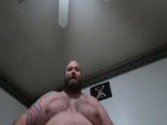 Big hairy Bear