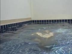 Beautiful girl shows her charms in the pool