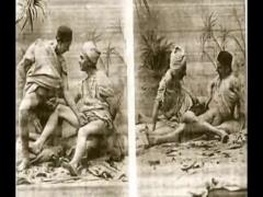 Gay Vintage video book 1890s- 1950s- ne